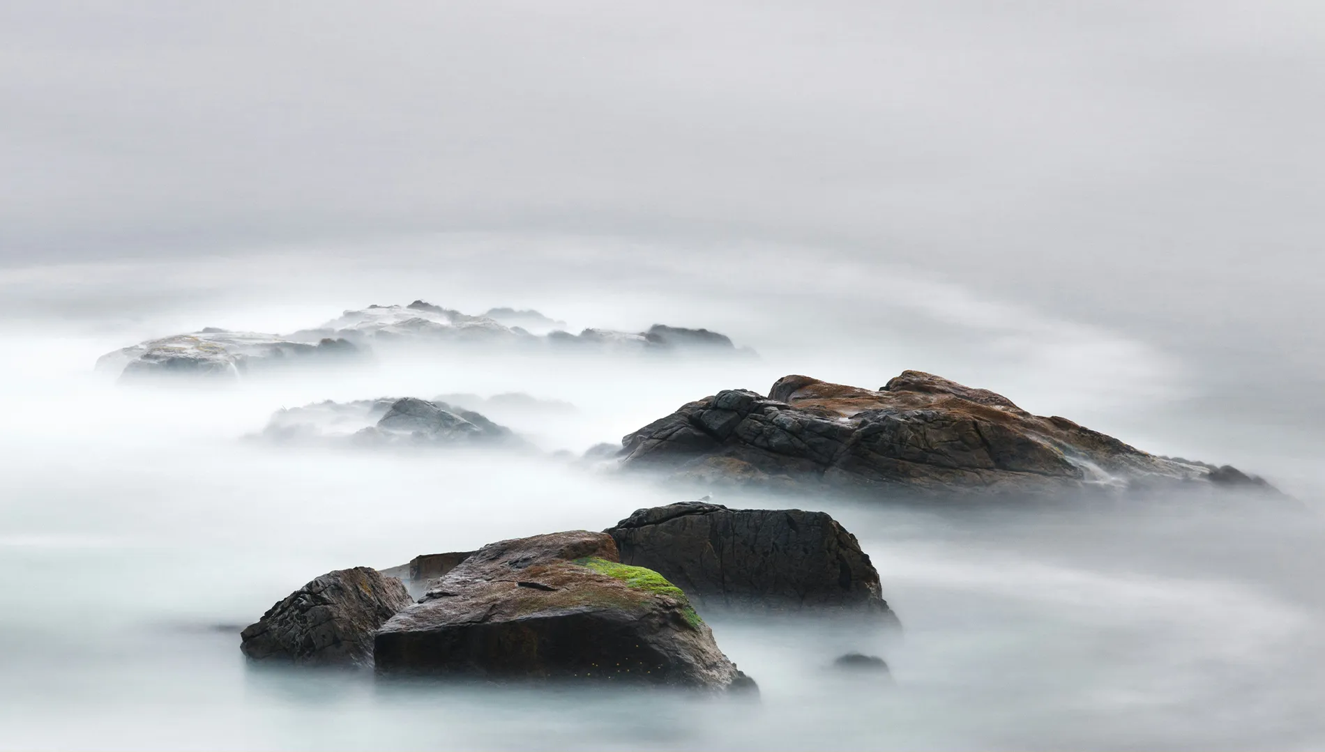 Study — a form emerging from mist.